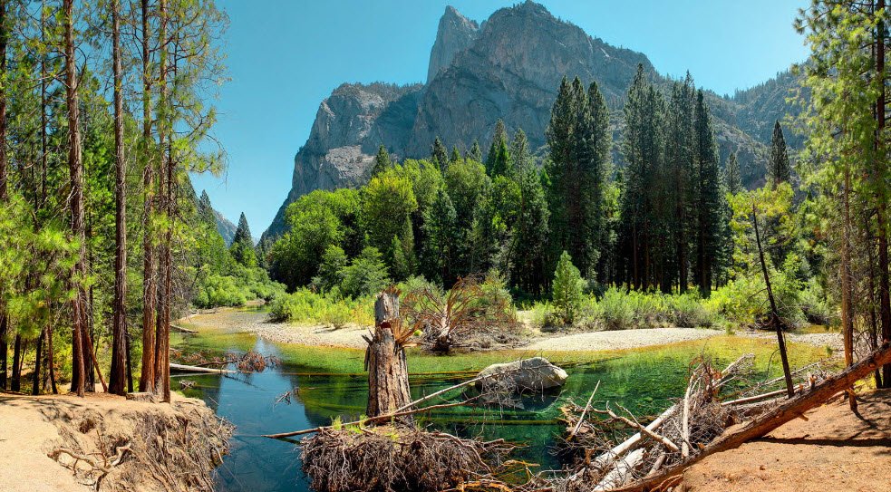 Sequoia & Kings Canyon National Parks (California)